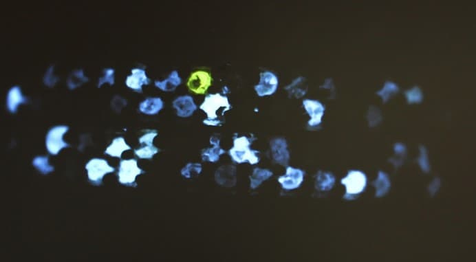 Diamond Testing Tools: A Brief History and Review