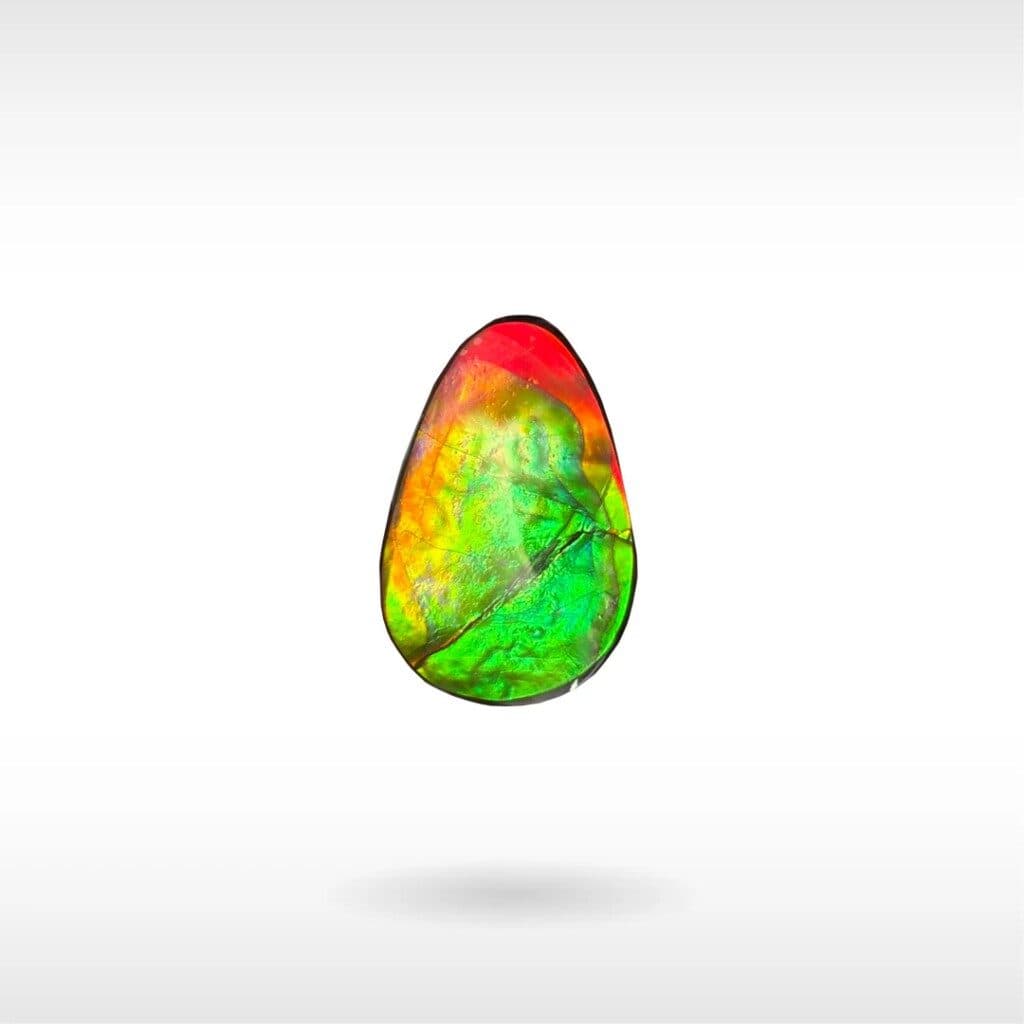 An A rated ammolite sold by Korite.
