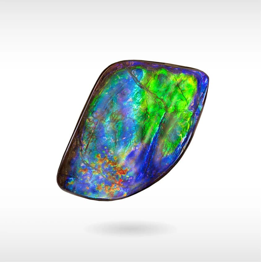 AA ammolite sold by Korite