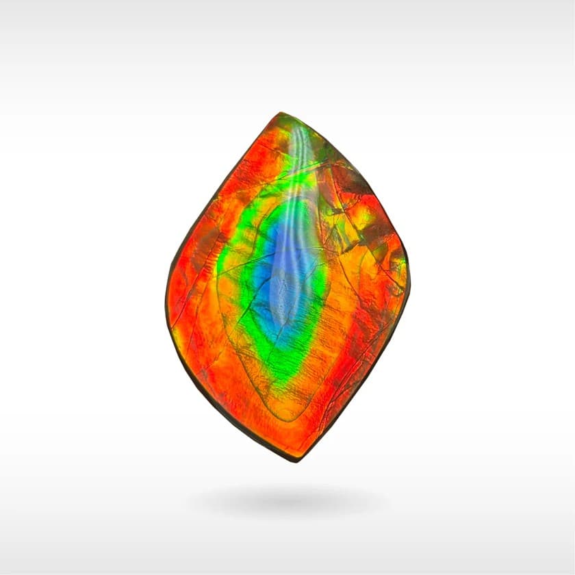 AAA rated ammolite