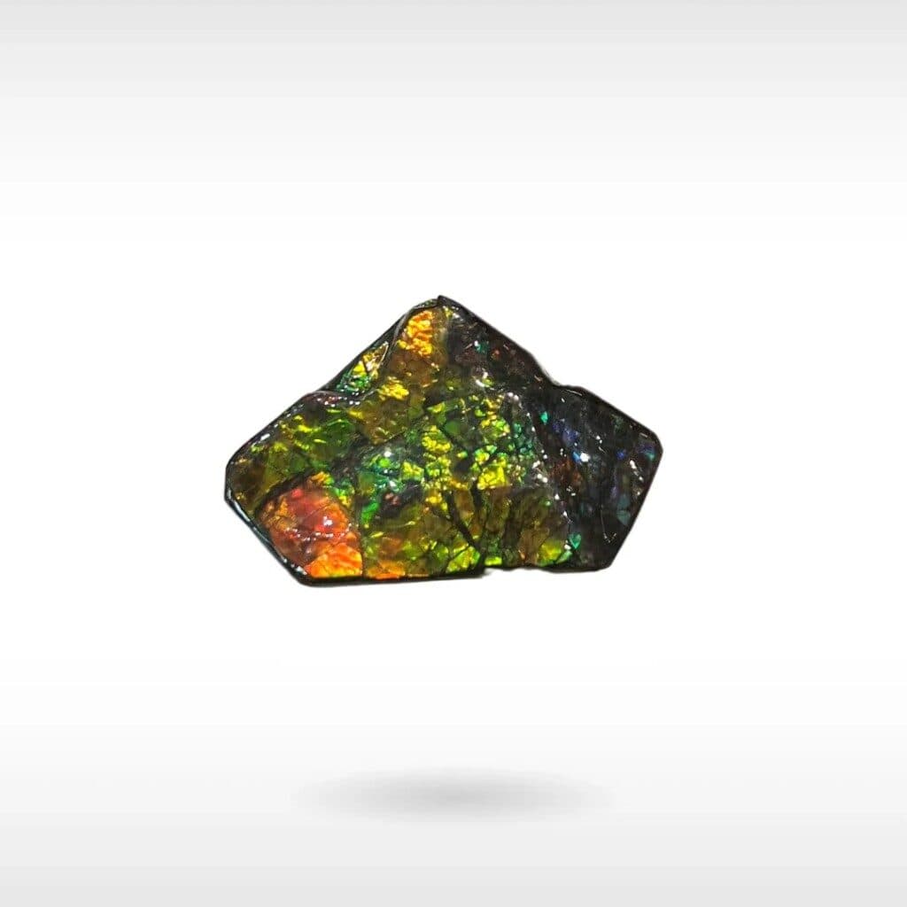 freeform ammolite